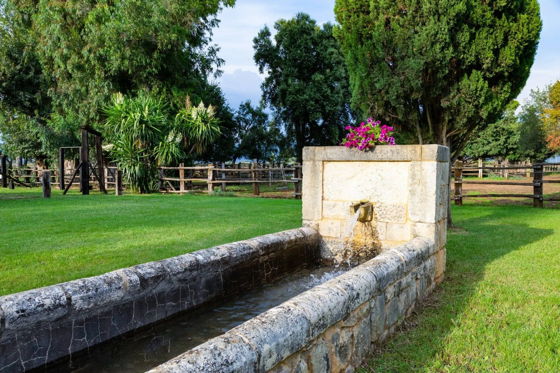 Il fontanile di pietra con i fiori, nel giardino principale
